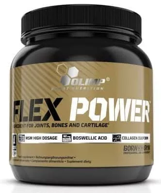 Olimp Flex Power 504 g